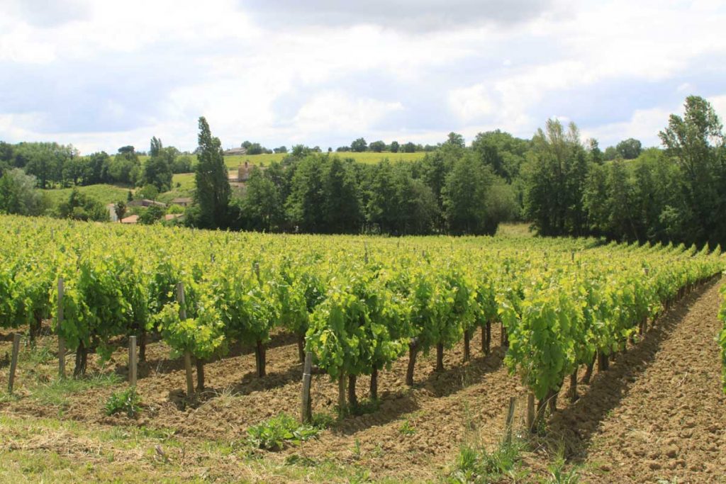 riviere-et-vallee-du-moron-1