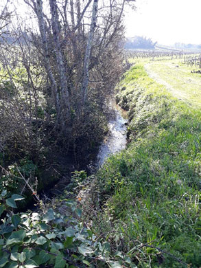 Lalibarde, affluent du Mangaud