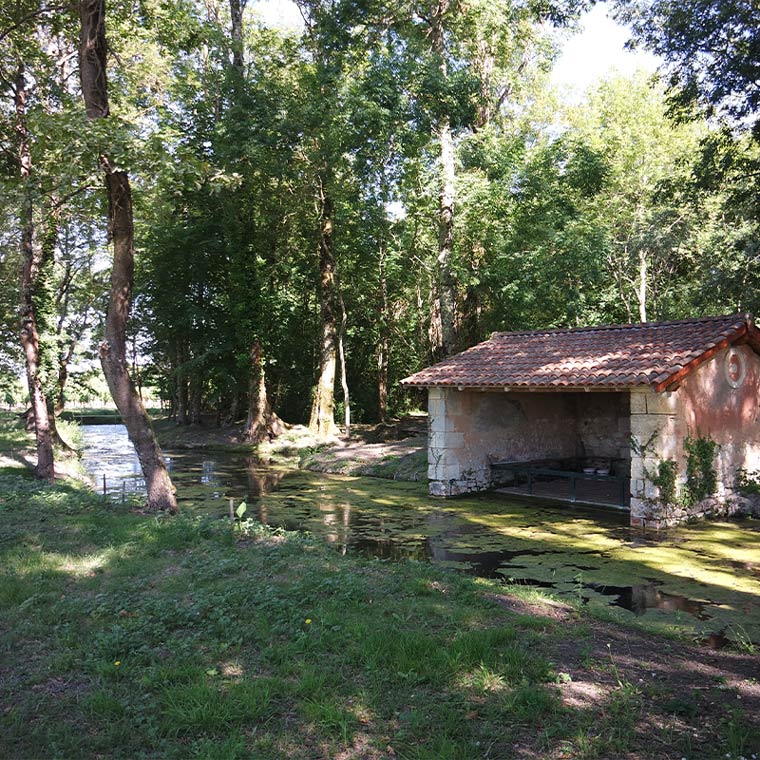 Cars - Lavoir Le Bédou