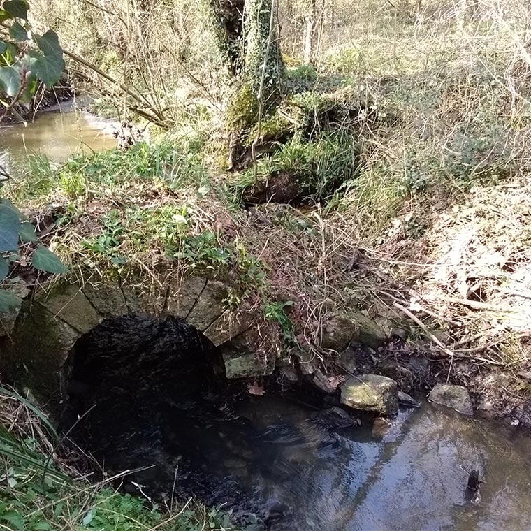 Pont ancien Nézereau