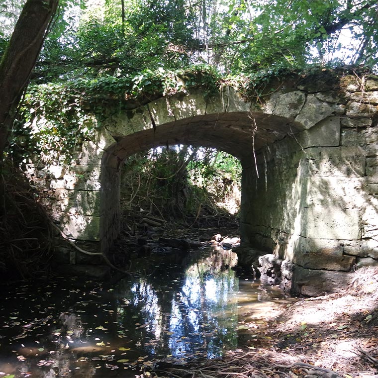 Saint-Vivien-de-Blaye - Moulin à eau de Charron vestiges du Pas