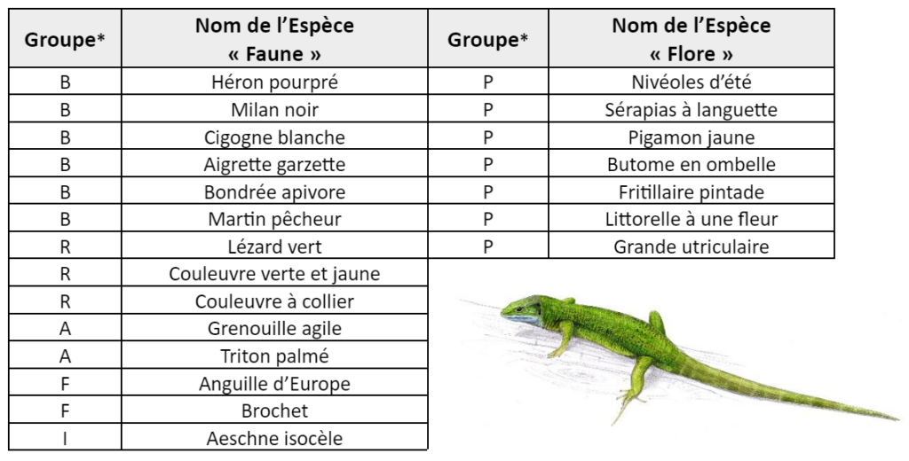 autres-especes