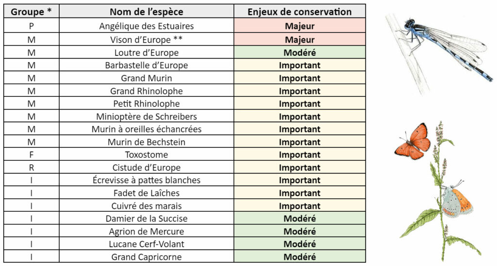 especes-faunistiques-floristiques