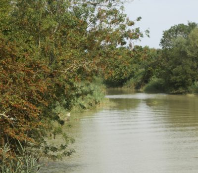 Le Brouillon à sa confluence